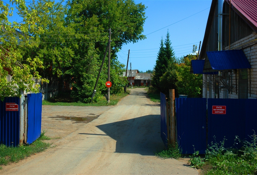 Фото жизнь