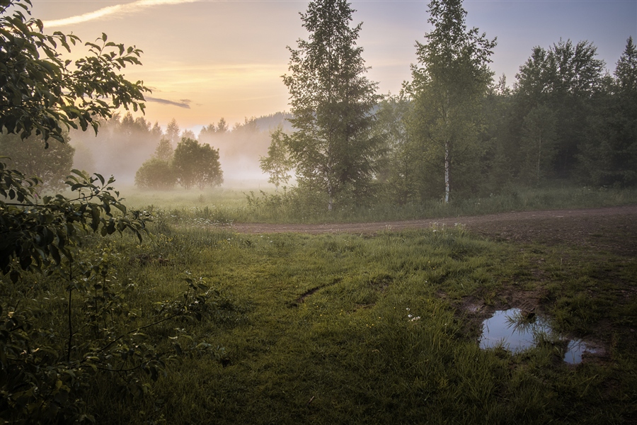 Фото жизнь