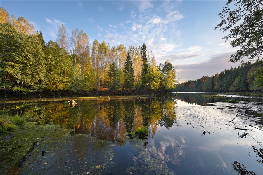 Фото жизнь