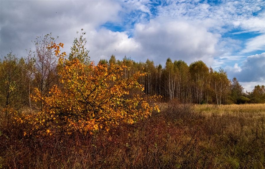 Фото жизнь