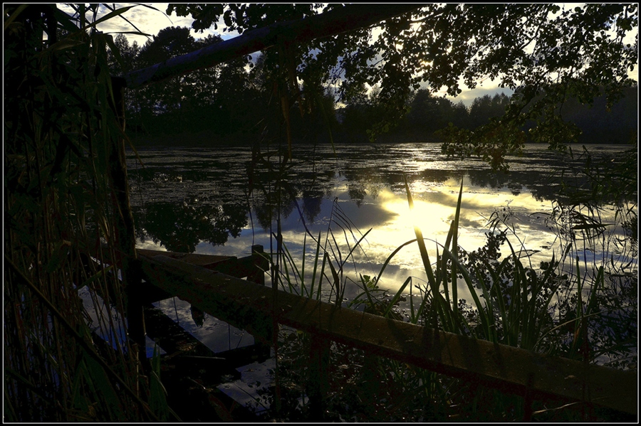 Фото жизнь