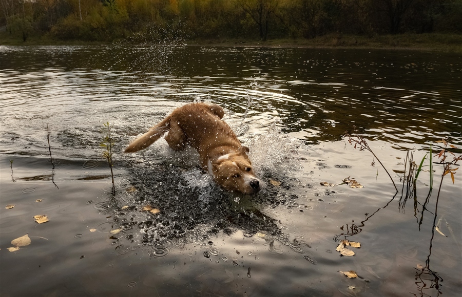 Фото жизнь