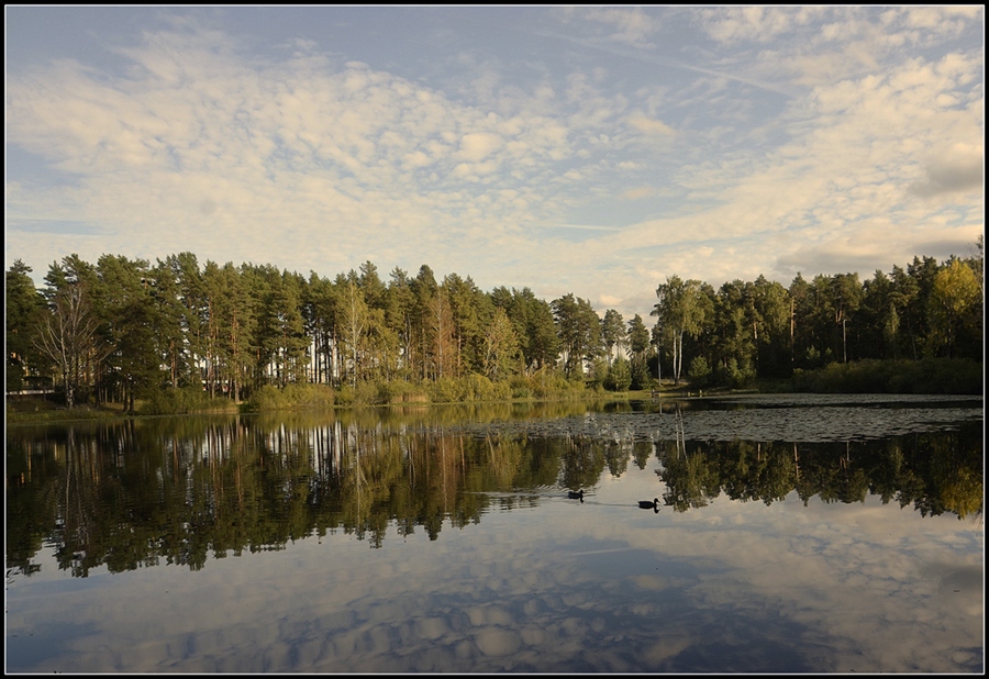 Фото жизнь