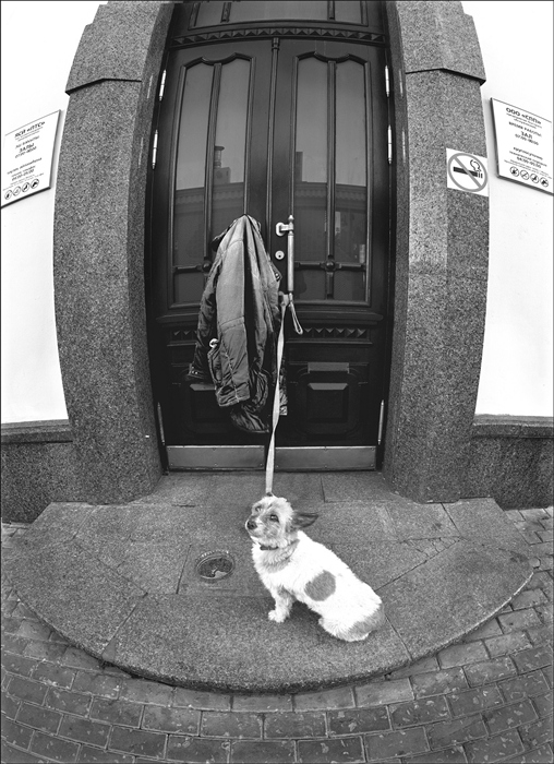 Фото жизнь