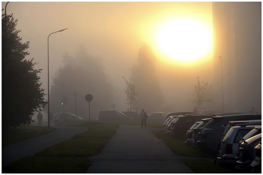 Фото жизнь