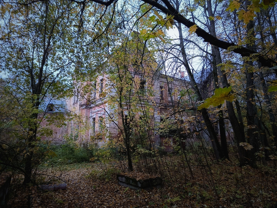 Фото жизнь
