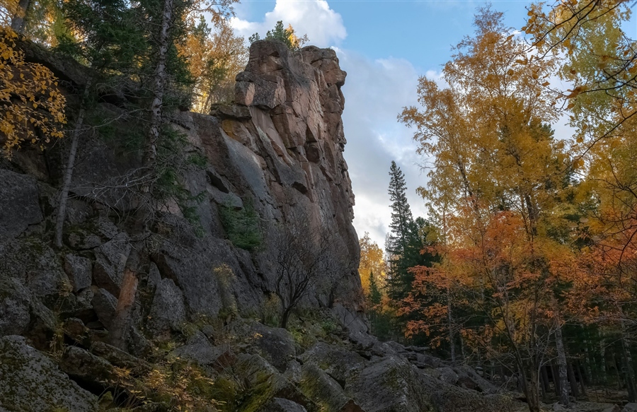 Фото жизнь