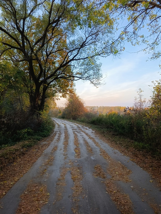 Фото жизнь