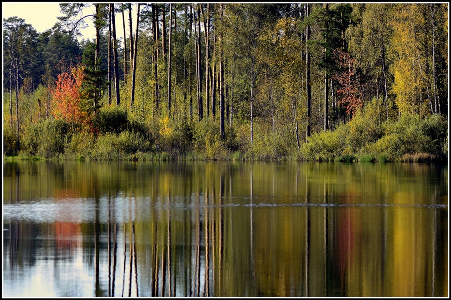 Фото жизнь