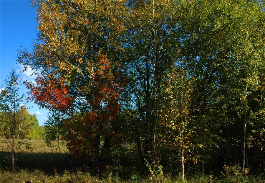 Фото жизнь