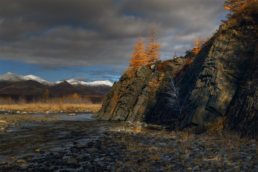 Фото жизнь
