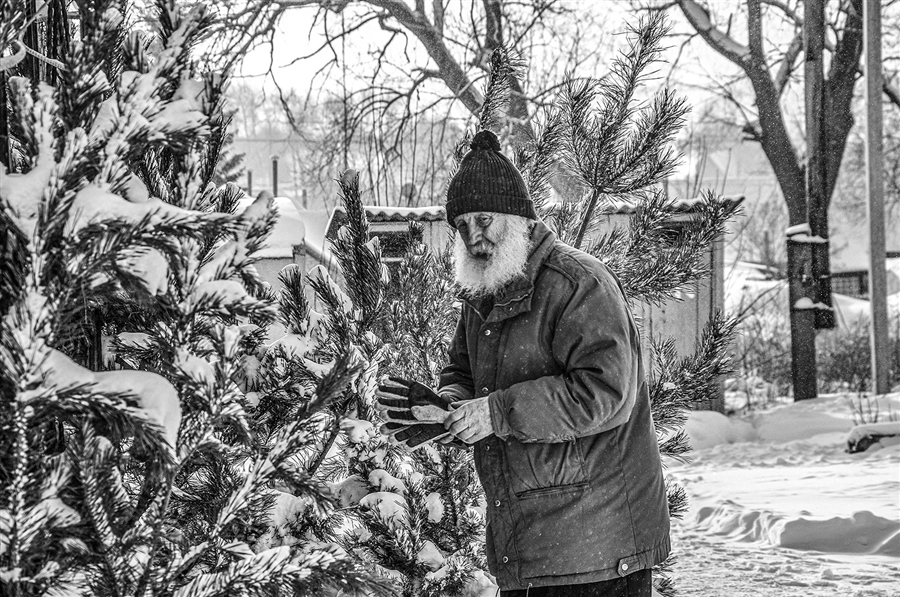 Фото жизнь
