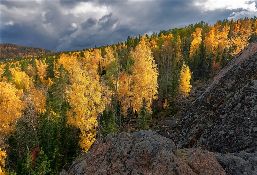 Фото жизнь