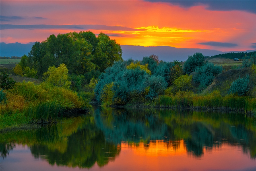 Фото жизнь