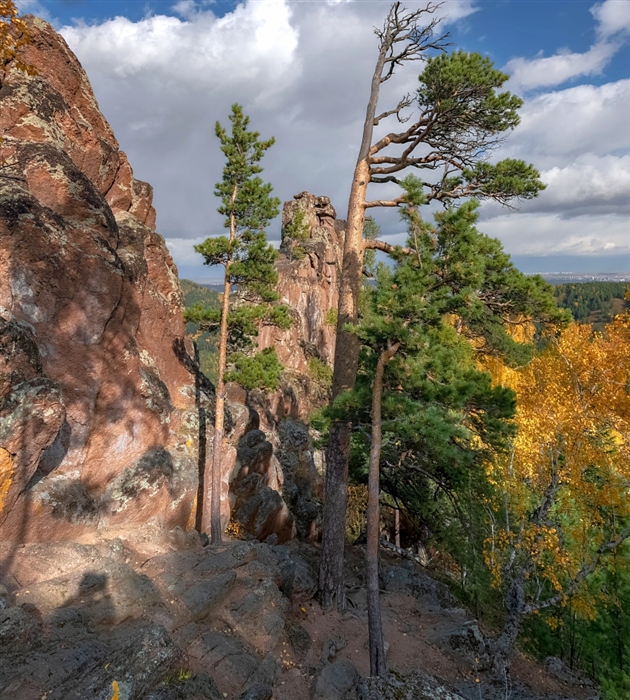 Фото жизнь