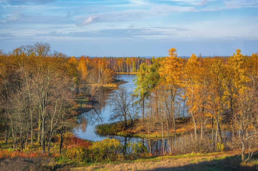 Фото жизнь