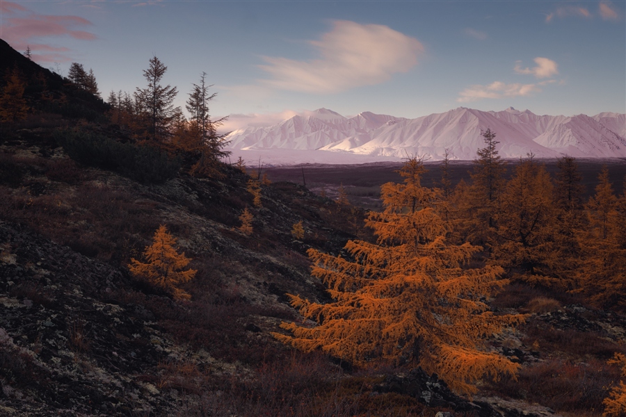 Фото жизнь