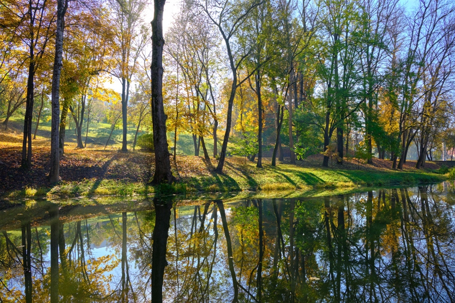 Фото жизнь