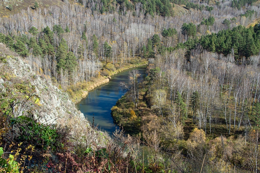Фото жизнь