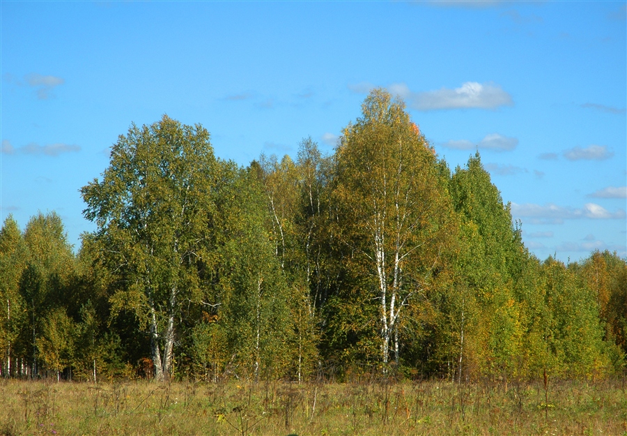 Фото жизнь