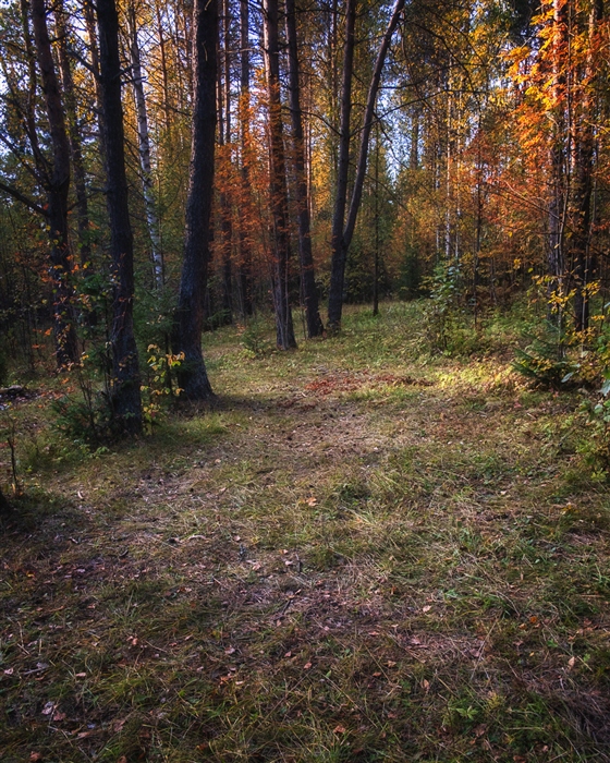 Фото жизнь