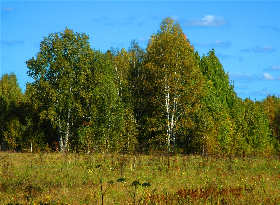 Фото жизнь