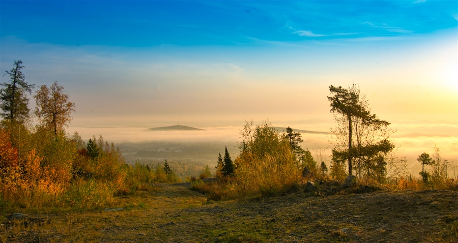 Фото жизнь