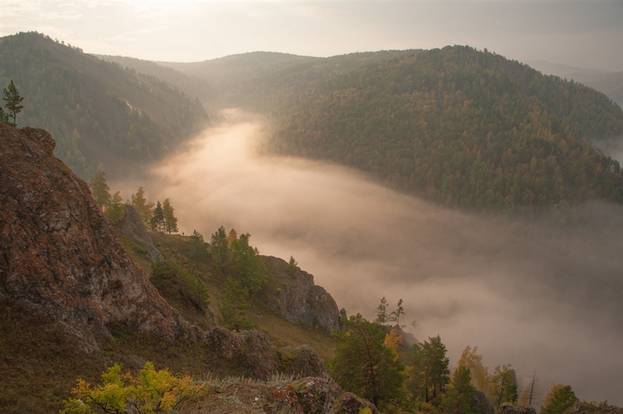 Фото жизнь