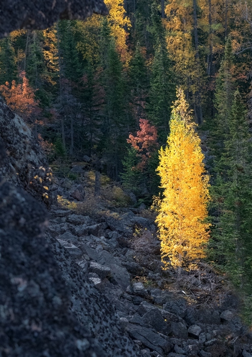Фото жизнь