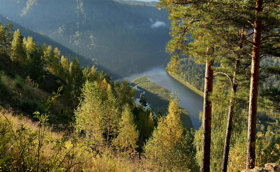 Фото жизнь