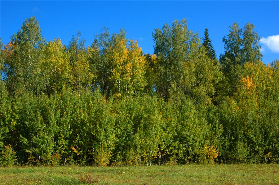 Фото жизнь