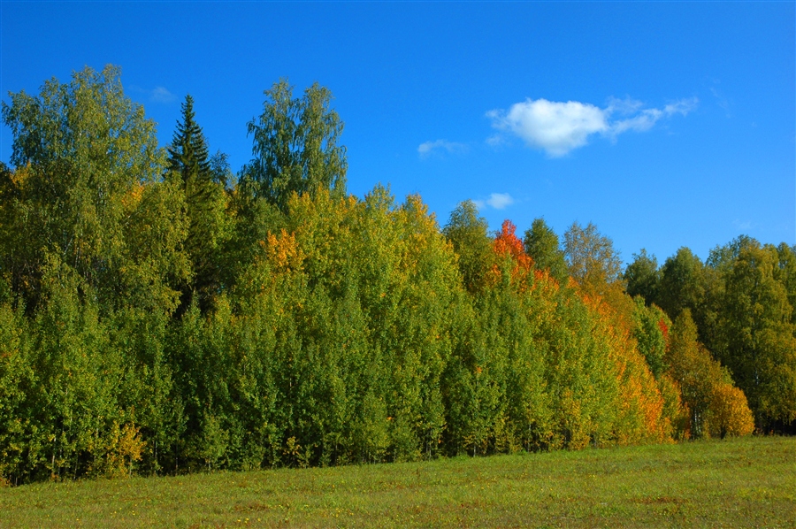 Фото жизнь