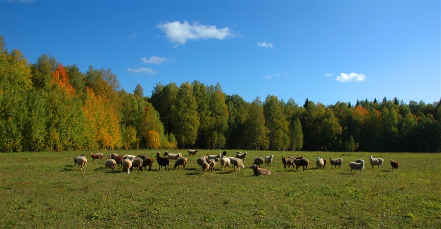 Фото жизнь