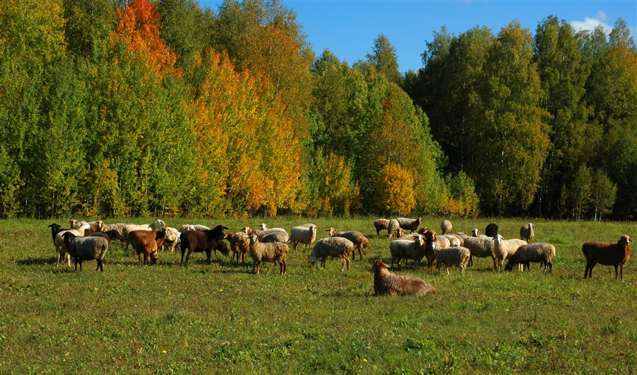 Фото жизнь