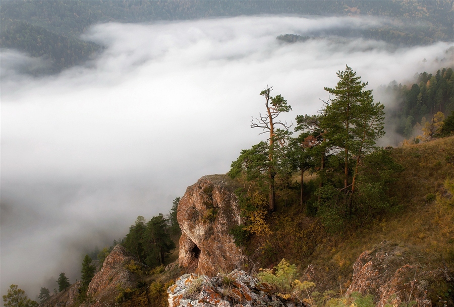 Фото жизнь
