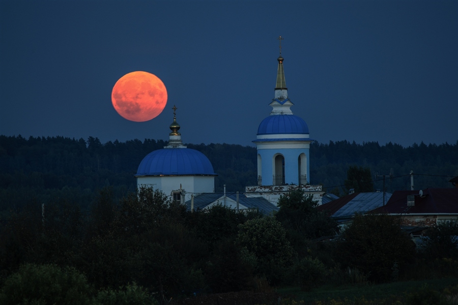 Фото жизнь