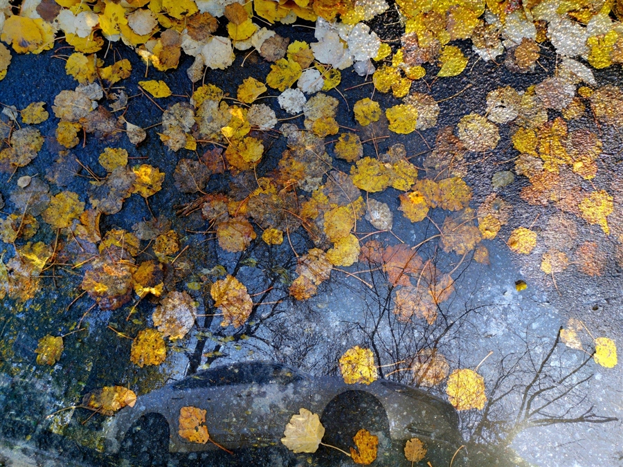 Фото жизнь