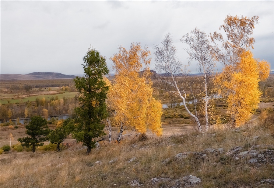 Фото жизнь