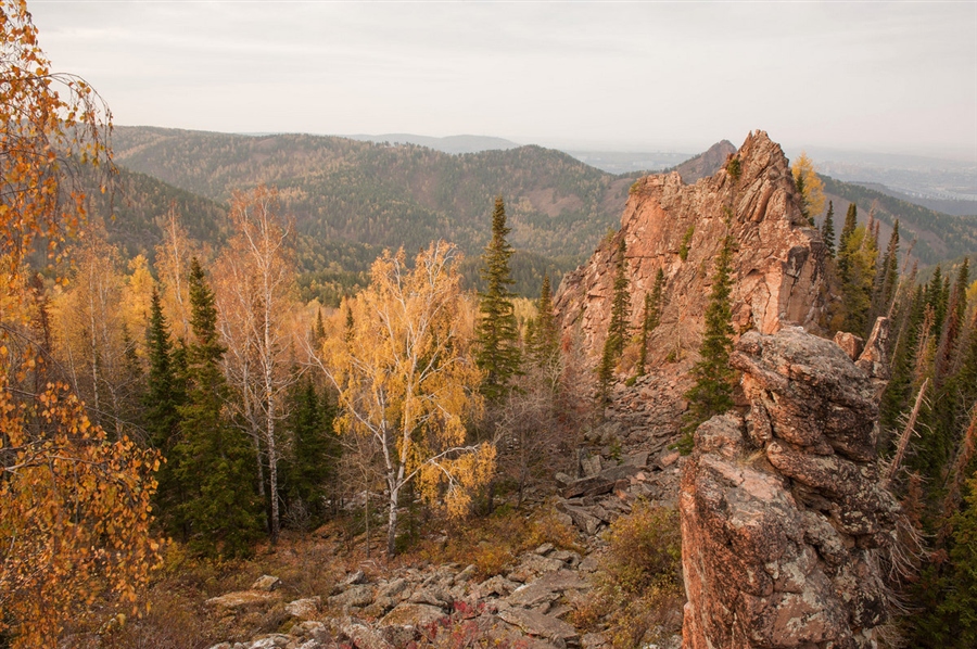 Фото жизнь
