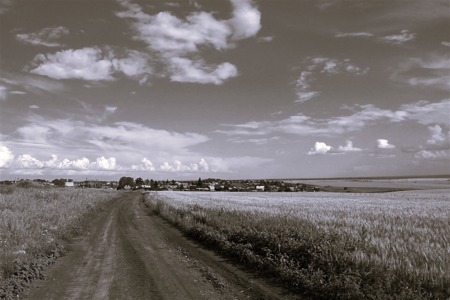 Фото жизнь