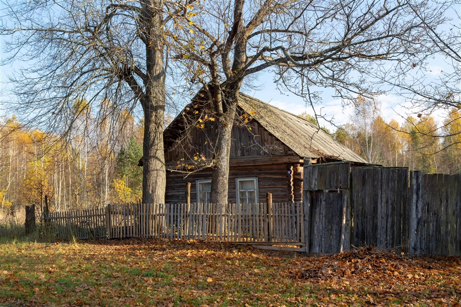 Фото жизнь