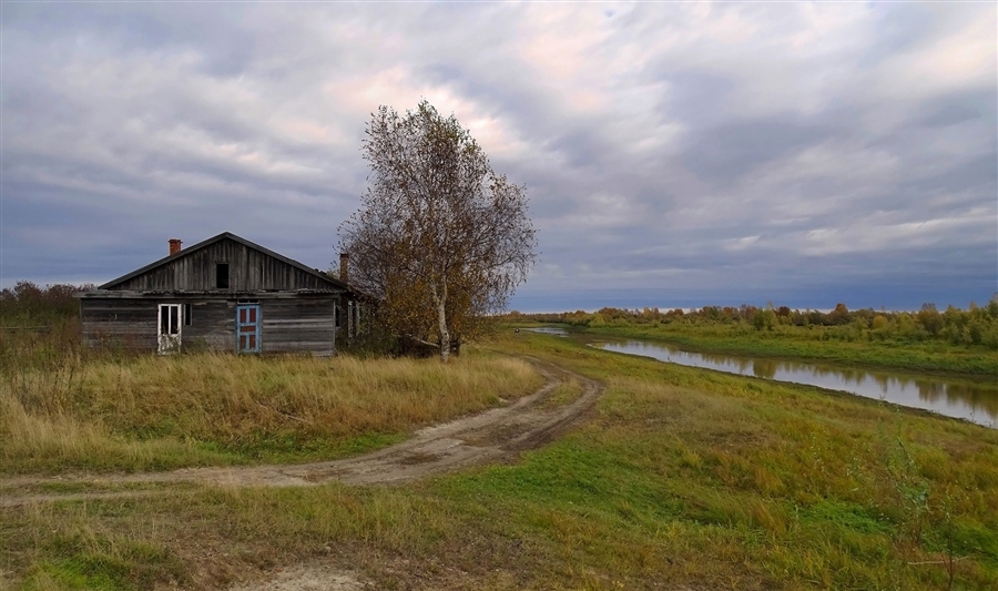 Фото жизнь