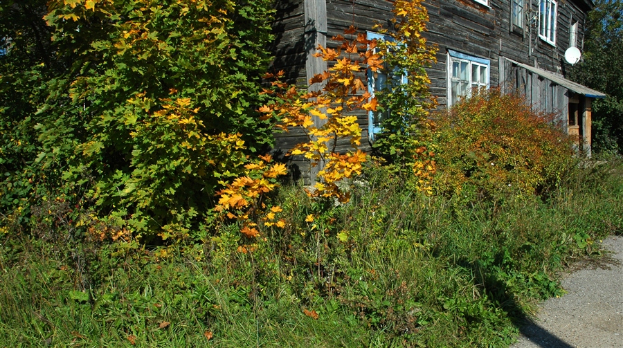 Фото жизнь