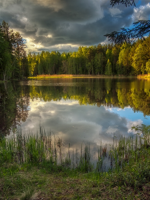 Фото жизнь