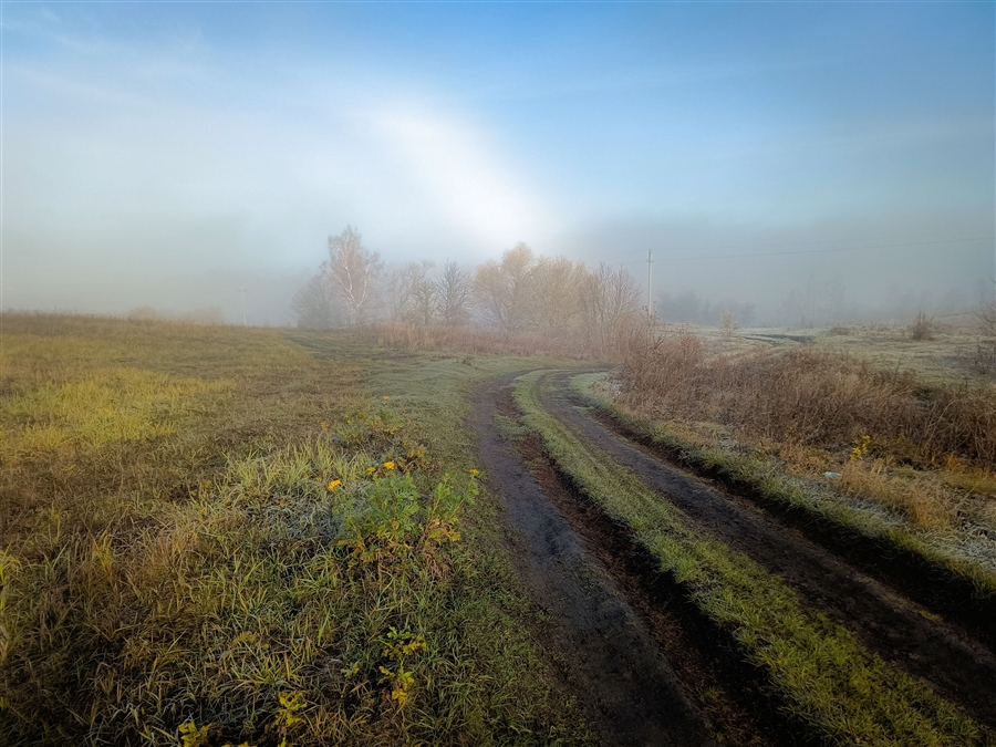 Фото жизнь