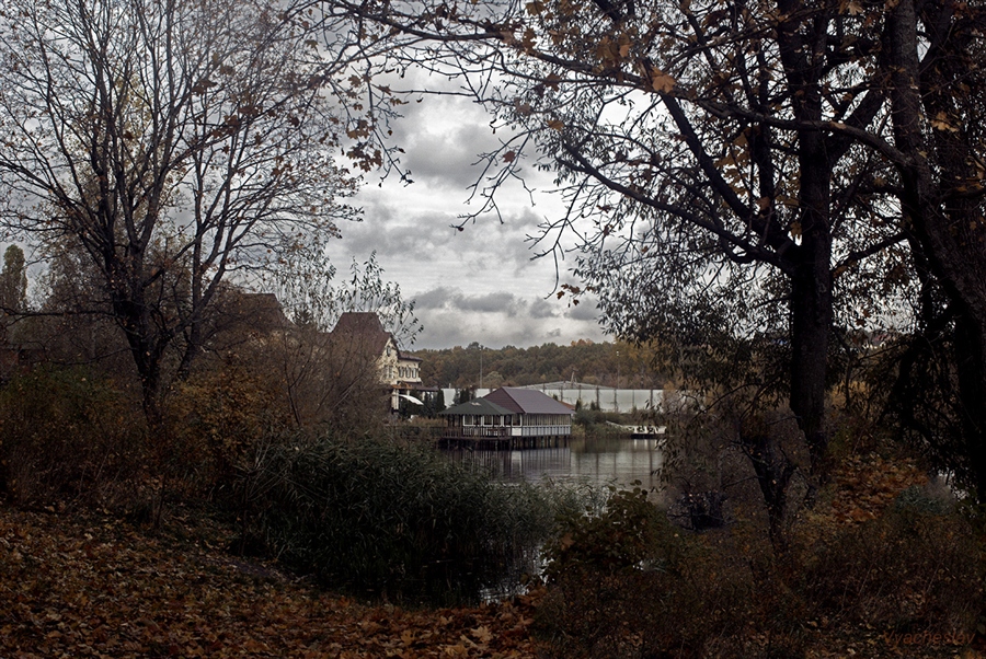 Фото жизнь
