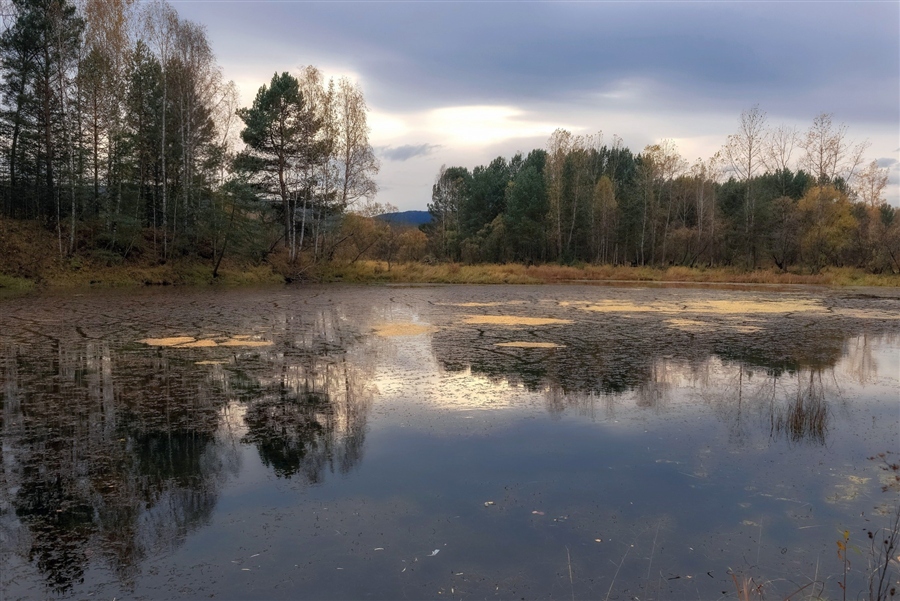 Фото жизнь