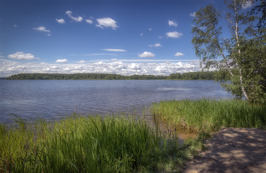 Фото жизнь