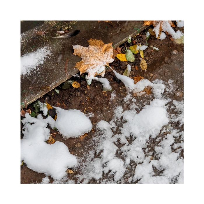 Фото жизнь