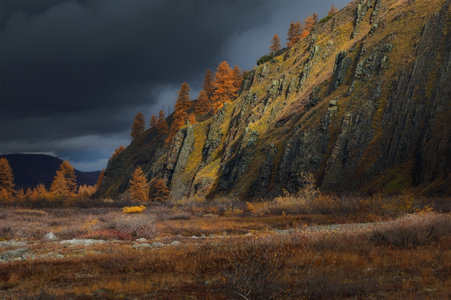 Фото жизнь